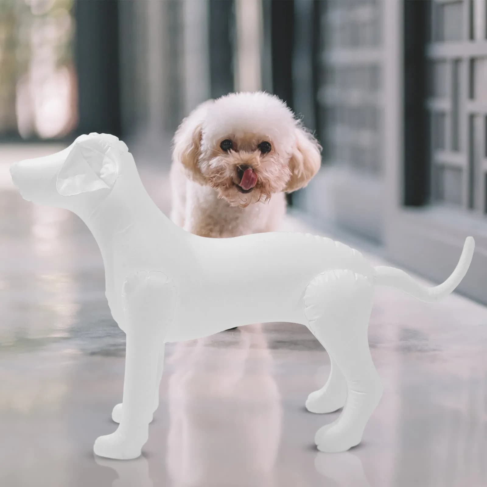 Espositore Gonfiabile in PVC per Vestiti per Cani, Robusto Manichino per Animali Domestici per Esposizioni e Negozi di Toelettatura, Espositore Gonfiabile per Cani