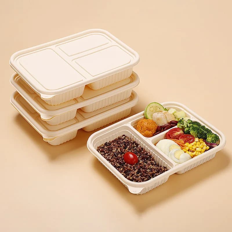 10 pezzi lunch box usa e getta contenitori per la preparazione dei pasti degradabili divisori posate vassoio per alimenti bento per microonde con coperchio utensili da cucina