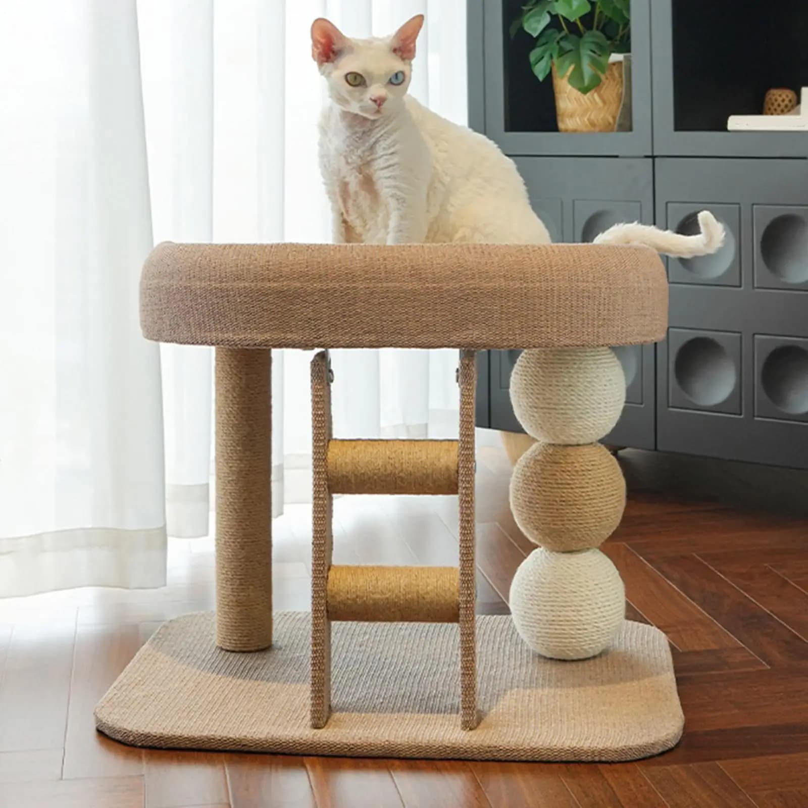 Piccola torre per albero per gatti con letto persico Tiragraffi Artigli per molatura Protezione per mobili Giocattolo interattivo per gatti da interni Gattini