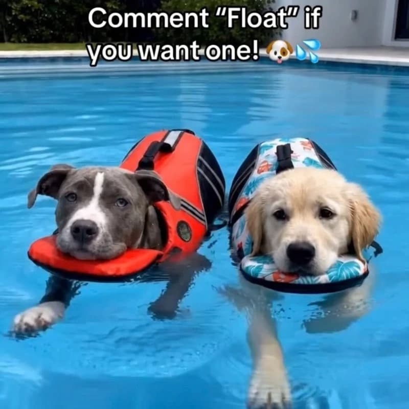 Dog Life Jacket Neck Support Float Vest Comfort No Chafe Safe Swimming Gear For Small Medium Dogs Pool Beach Use