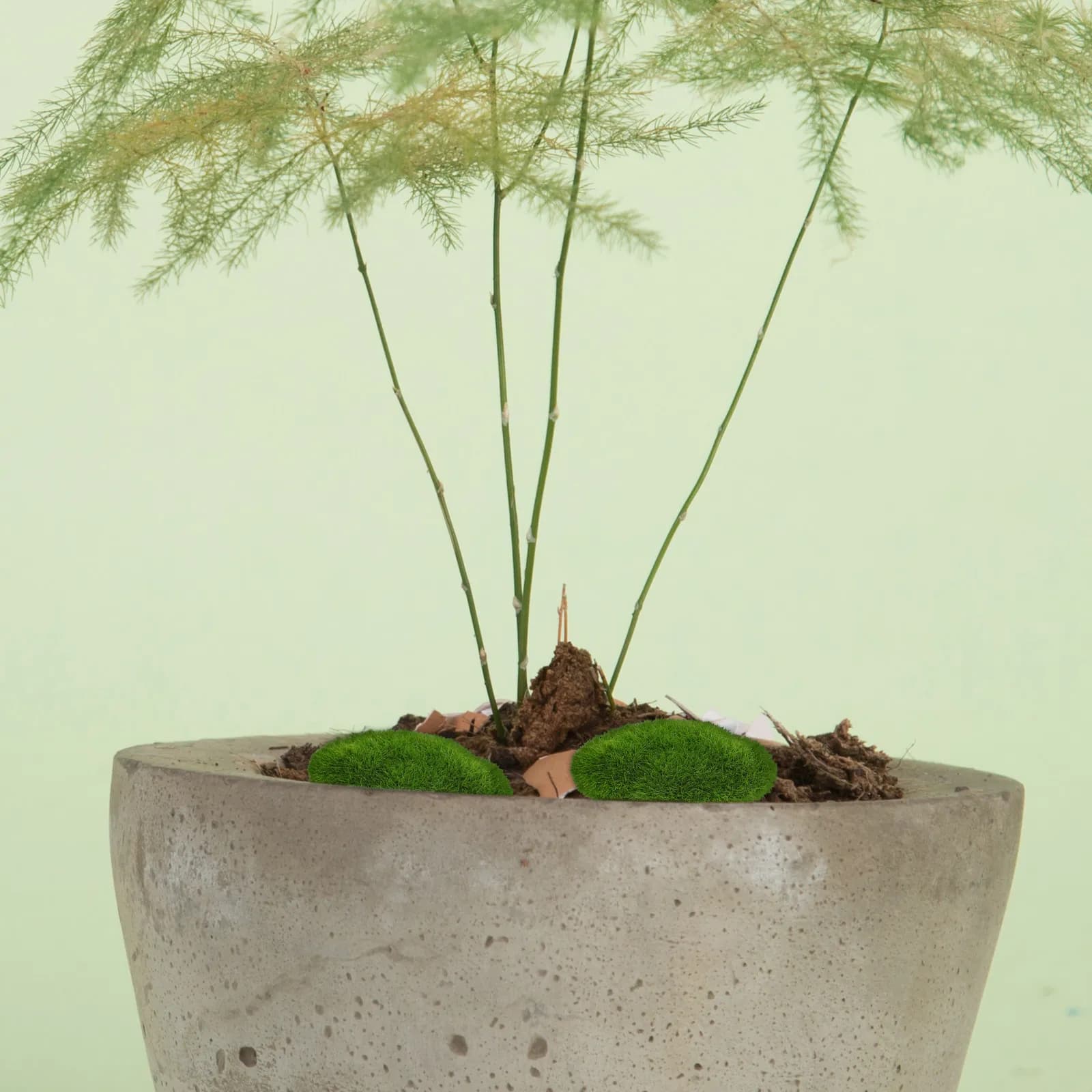 10 Pezzi di Pietre di Muschio Artificiali Realistiche, Riempitivo per Vasi di Piante da Interno, Decorazione per Giardini Fatati, Artigianato e Vasi