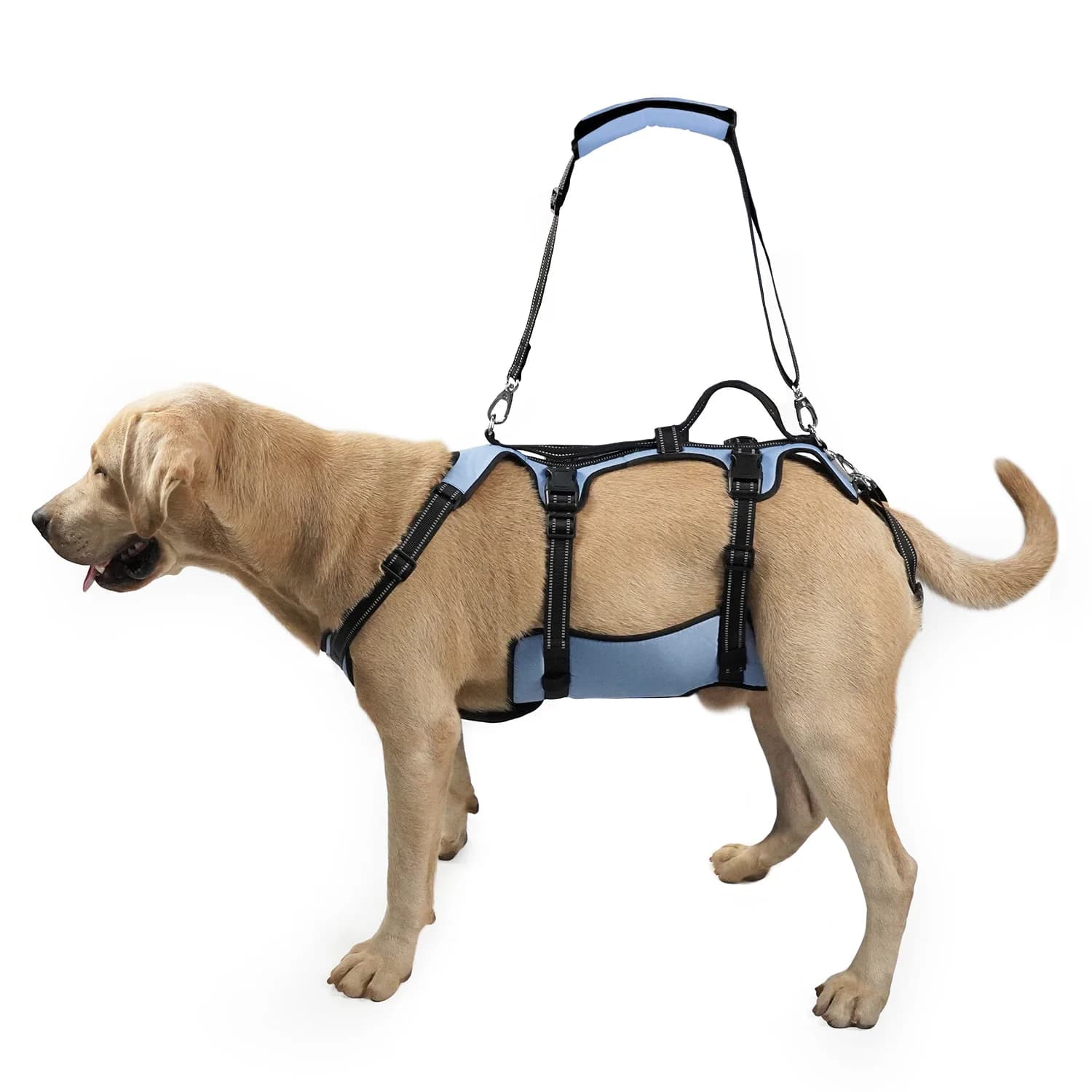 COODEO Imbracatura di Sollevamento per Cani, Supporto per Animali Domestici, Imbracatura per Riabilitazione, Cinghie Regolabili Imbottite e Traspiranti, Taglie da M a XL, Accessorio per Animali