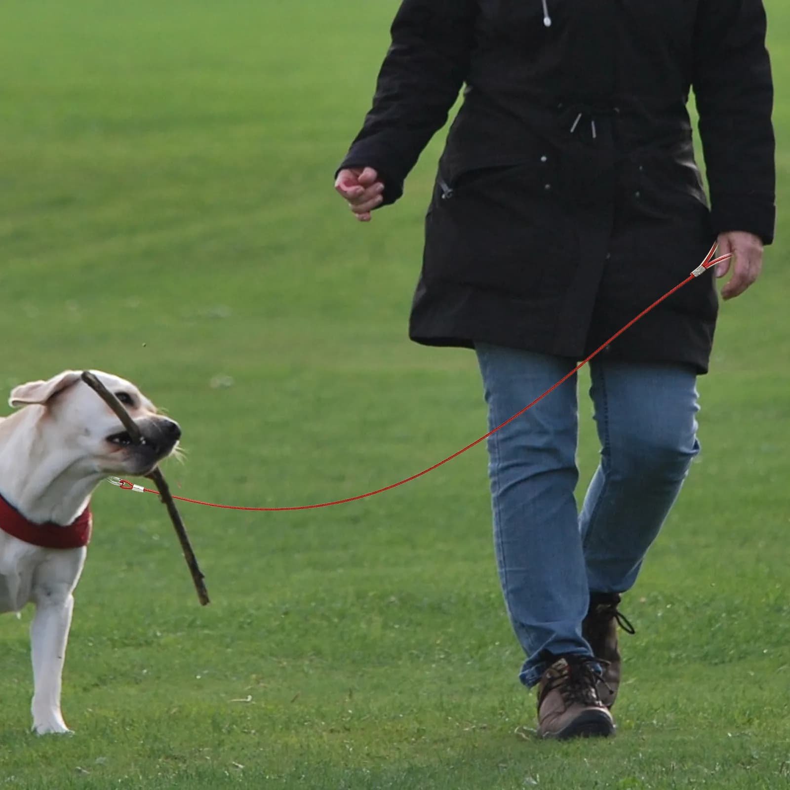 Guinzaglio per Cani in Filo d'Acciaio Resistente all'Usura, Anti-Morso, Leggero, per Sicurezza Quotidiana all'Aperto