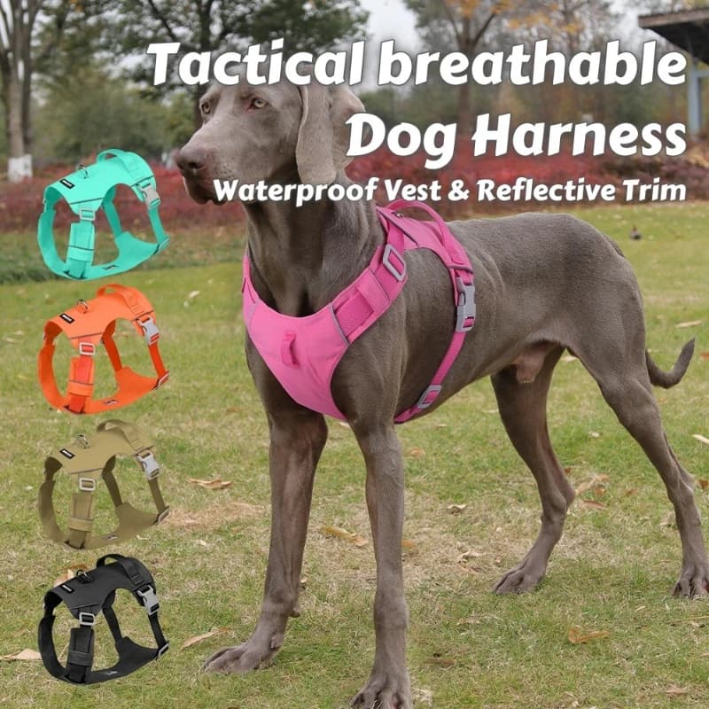 Pettorina tattica traspirante per cani – Gilet leggero impermeabile con fodera anti-spargimento e finiture riflettenti per avventure all'aria aperta
