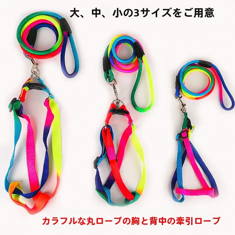 Teddy Dog Leash Small Dog Harness Walking Rope Pet Pulling Rope Suhuaian Brand Retractable Dog Leash