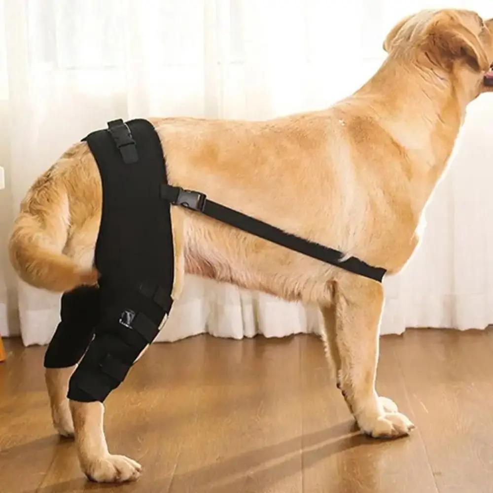 Recupero per lesioni articolari Ginocchiera per animali domestici Ginocchio per l'articolazione dell'anca Proteggi la gamba posteriore strappata Cintura avvolgente Protezione per le gambe in tessuto 4 dimensioni Pet