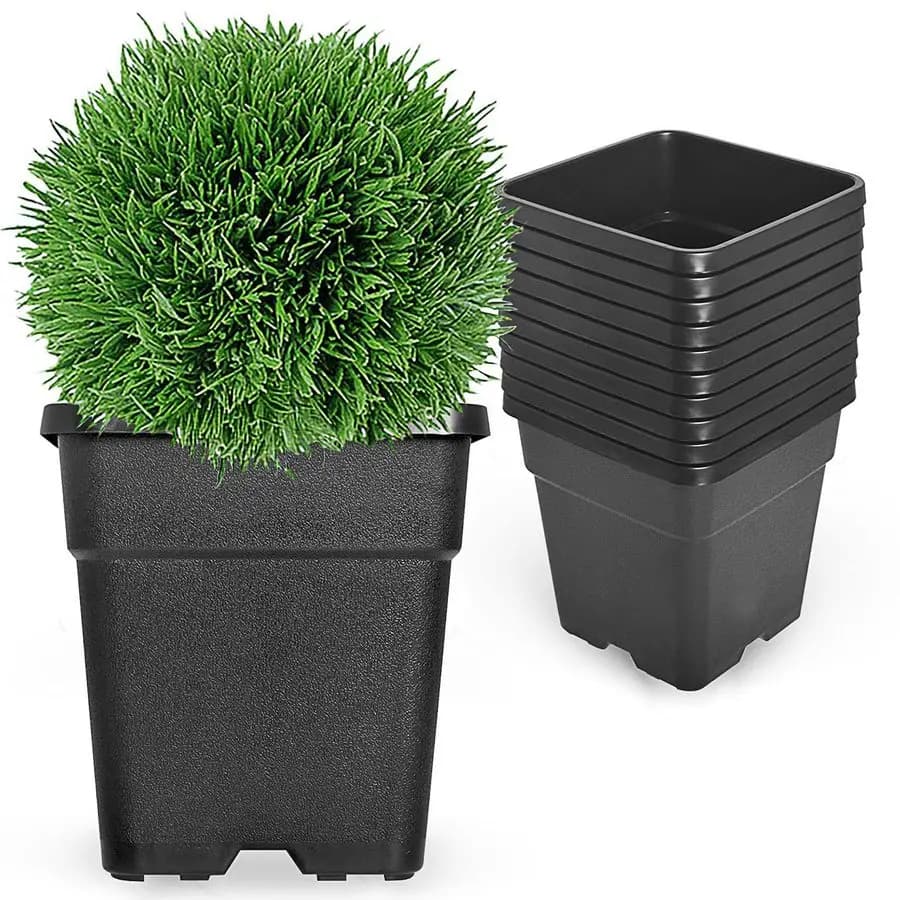Square Vases of 2 Gallons for Plants, Plastic Flower Containers Printed in Injection, Gardening Vases for Interior and Exterior