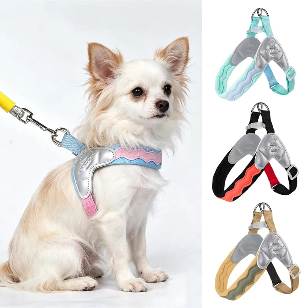 Y Shape Pet Saddle Harness and Leash Set for Walking Fashion Puppy Dog Harnesses Pinscher Teddy Maltese Mascotas Accessories