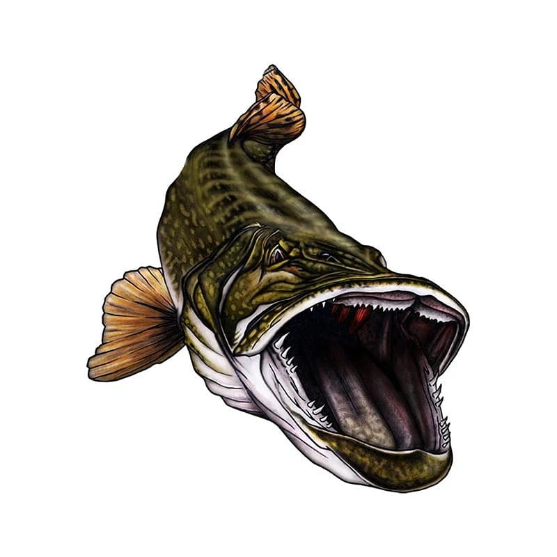 Creative fish fishing pattern graffiti DIY sticker for auto decal vinyl window bumper boat equipment sticker decoration car