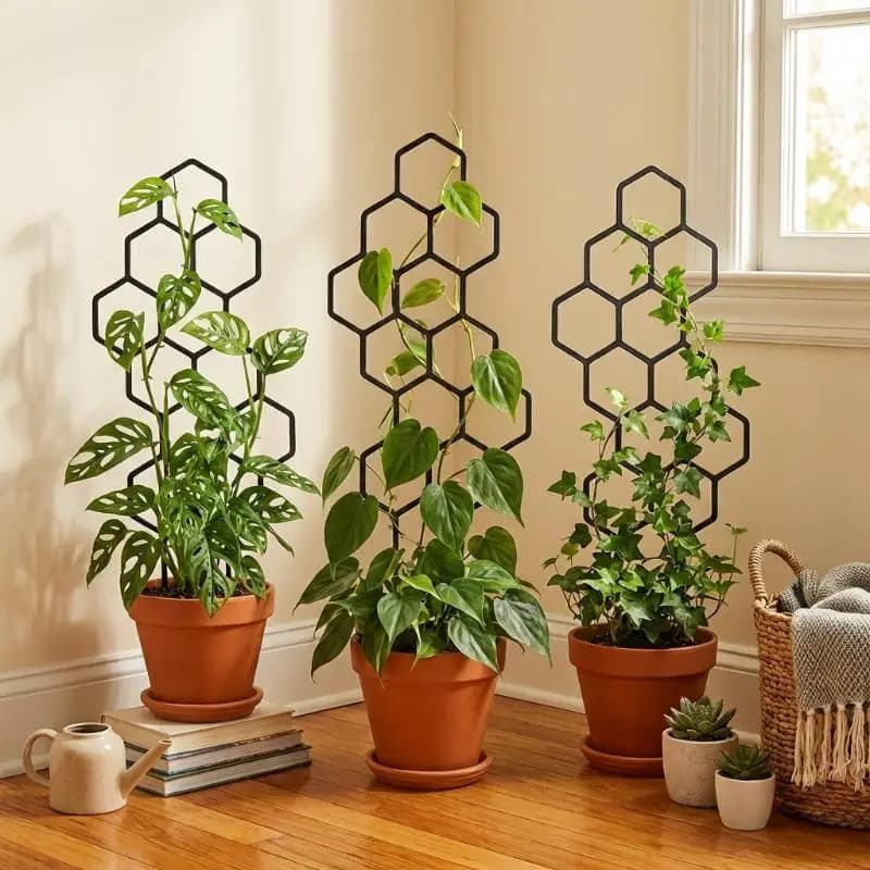 Plant Support, Plant Climbing Frame, Made Of ABS Material, Rust-proof, Suitable For Indoor And Outdoor Potted Plants And Vines