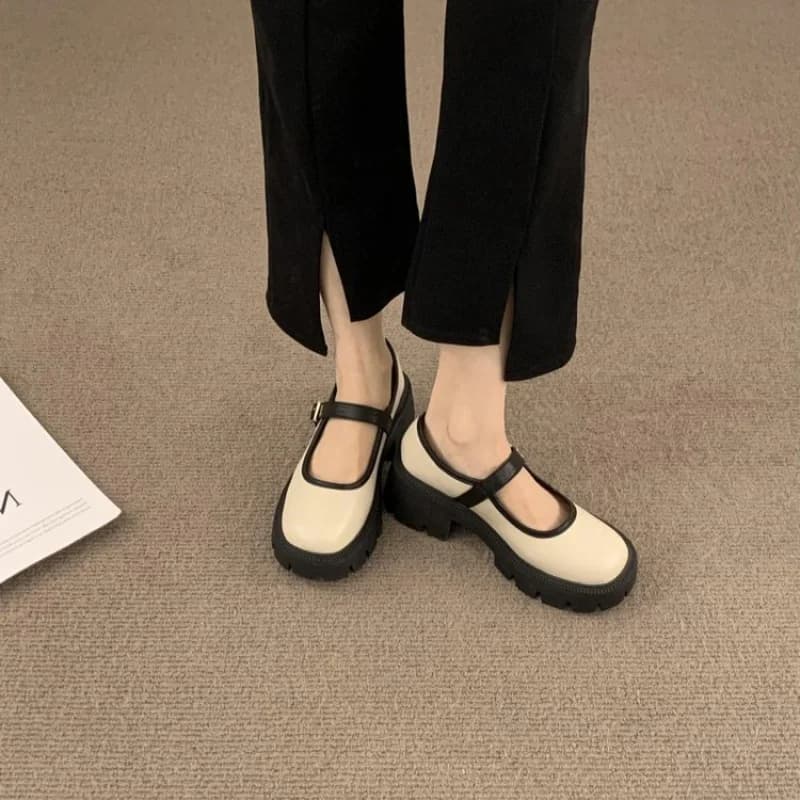 Women's Mary Jane Shoes 2026, French Retro Style with thick sole, Round Toe, Lolita Leather Shoes for Daily Use Casual Slip-On