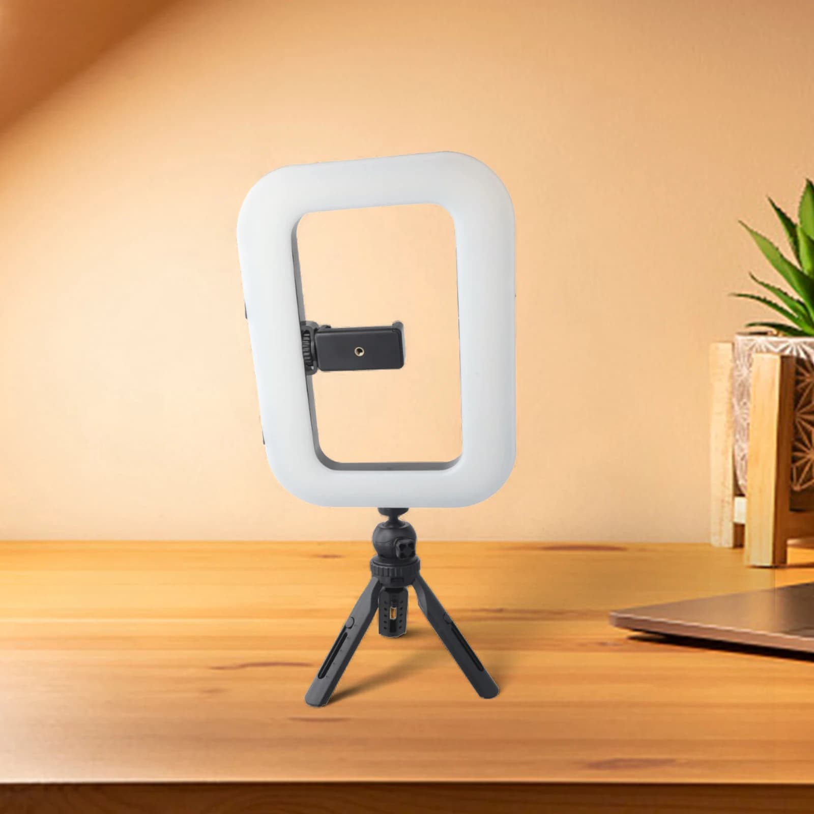 Luce di riempimento portatile con batteria da 6600mAh e doppia opzione di luce bianca per fotografia e videografia tramite smartphone