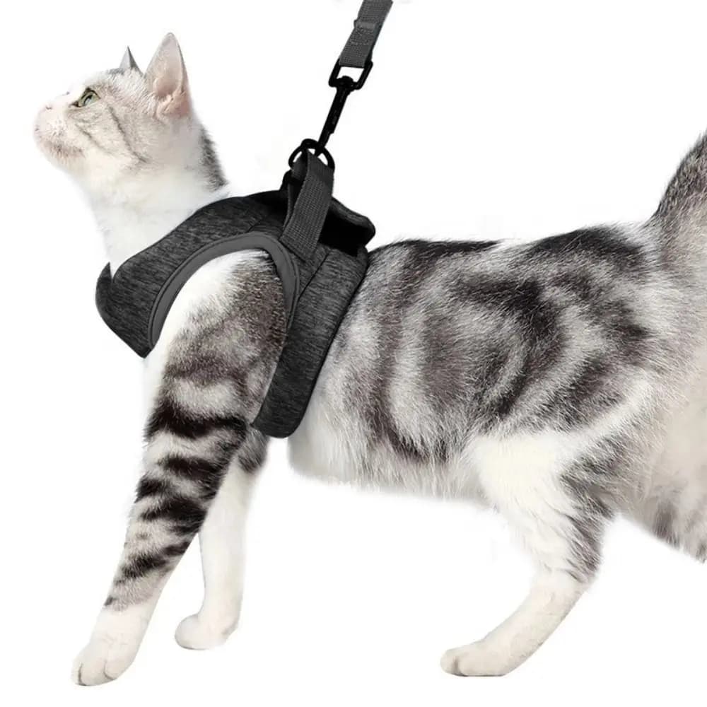 Set Guinzaglio e Pettorina in Poliestere per Gatti, Traspirante e Regolabile, Morbido e Leggero, Anti-Fuga, Collare e Cinghia per Cani