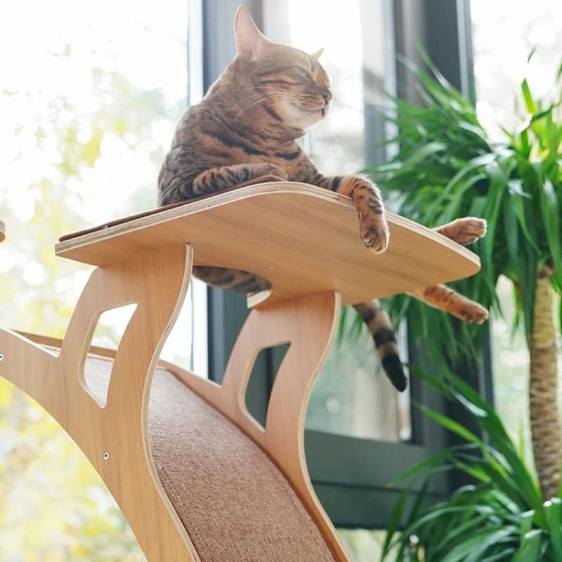 Tiragraffi per Gatti in Legno con Piattaforma di Osservazione, Nido Grande per Gatti con Ventose, Giocattoli Tiragraffi, Tavola Multilivello, Articoli per Animali Domestici