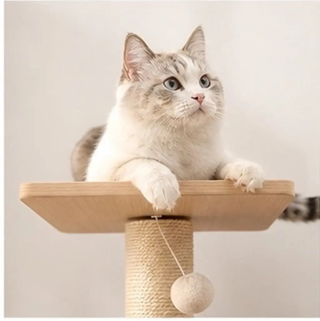 Cat Indoor Scratch Scratching Furniture Halloween Christmas Cat Climb Shelf Cat Tree Accessories Cat Tree Accessories Board DIY