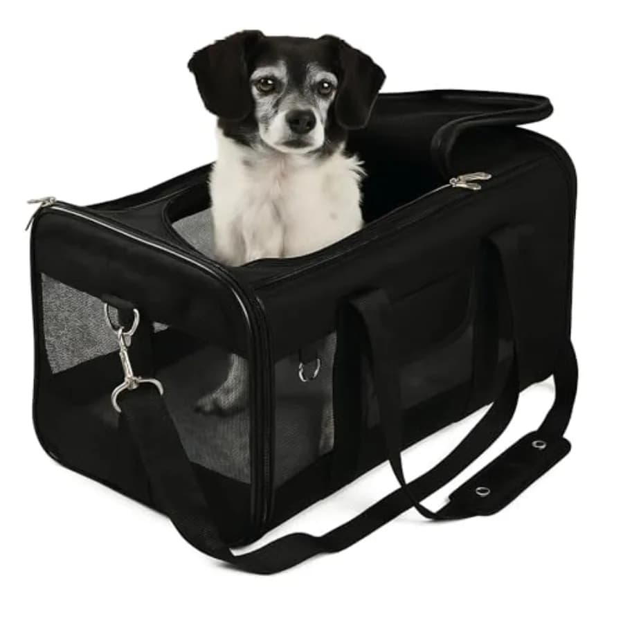 Trasportino Deluxe Originale per Animali Domestici Approvato dalle Compagnie Aeree - Nero Grande
