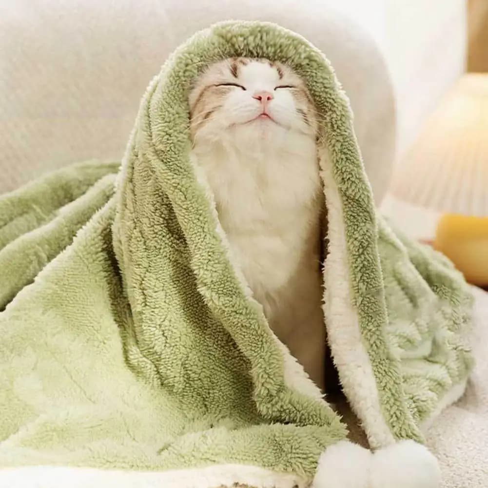 Coperta per animali domestici ispessita, ultra morbida, in peluche, calda, traspirante, per cani e gatti, tappetino per cuccia, coperta per gattini per l'inverno