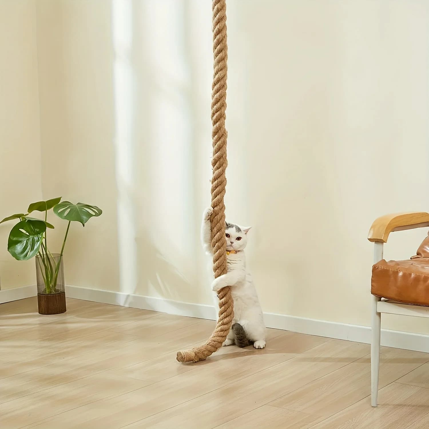 1 pz Piattaforma da arrampicata per gatti da parete, in corda di canapa naturale spessa, adatta per gatti da interno, gatti adulti, gattini, salvaspazio, gioco sportivo per animali domestici, sistema di arrampicata per gatti, accessori per recinzioni per gatti, scala per gatti, parete da arrampicata per gatti