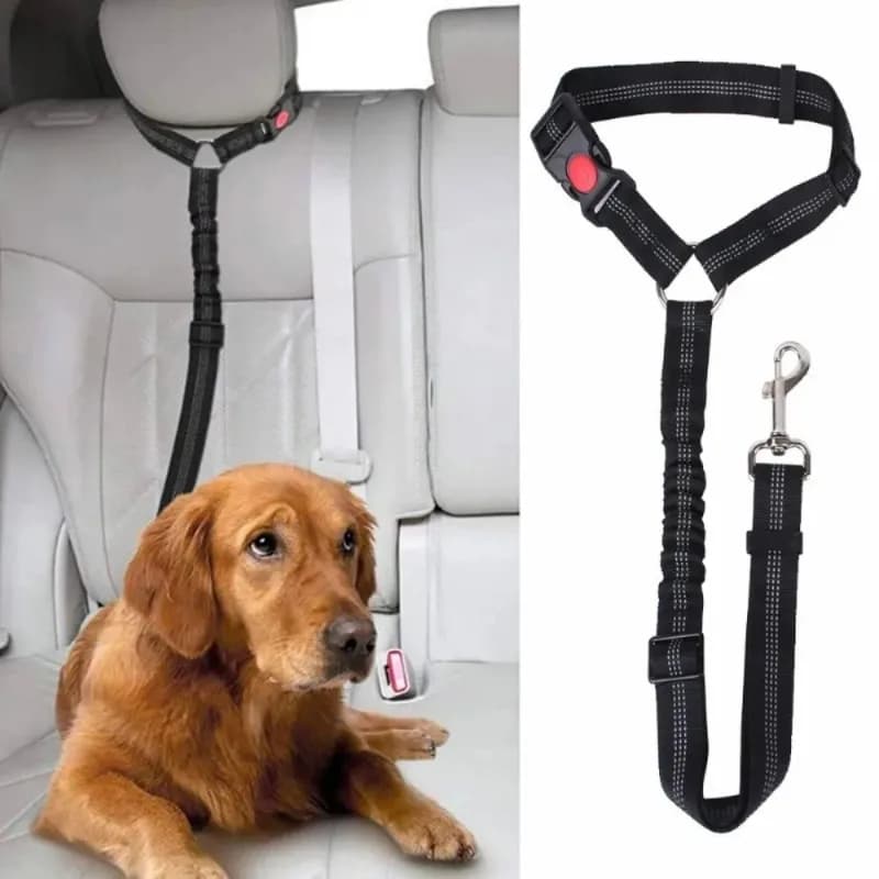 2 pezzi di cinghie per cintura di sicurezza per animali domestici, anello circolare, cinghia elastica retrattile riflettente per cani, corda di traino per cani