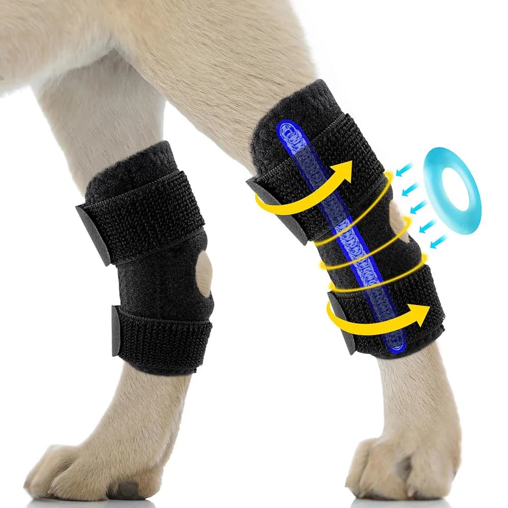 Protezioni per Ginocchia di Cani, Supporto Traspirante per Recupero da Infortuni, Fascia di Protezione per Articolazione dell'Anca e Gambe