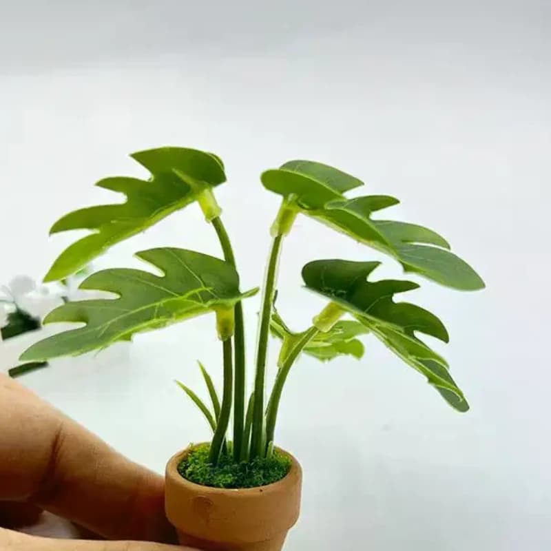1Pcs Miniature Scandinavian Style Decoration Dollhouse Green Plants Mini Taro Turtle Back Green Potted Plants Props Model