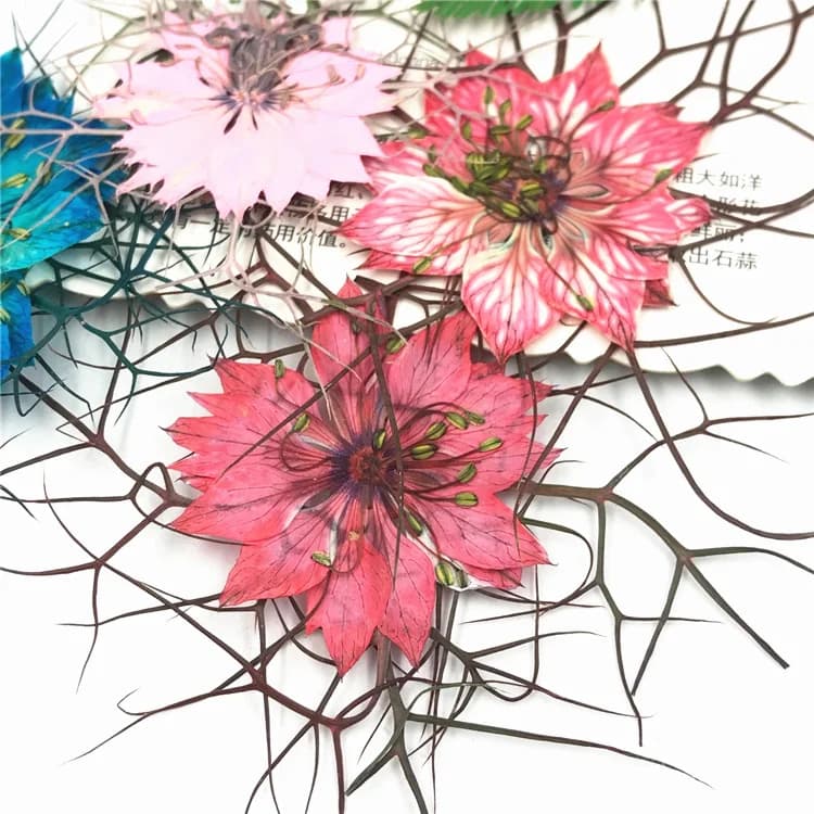 40 Pezzi di Semi Neri Essiccati, Fiori Pressati, Fiori Essiccati in Resina, per Cover Telefono, Candele Profumate, Arte con Fiori Pressati, Cornici Fotografiche