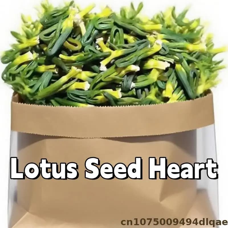 100g/250g/500g Natural‑Look Decorative Lotus Seed Core, Artificial Lotus Heart, Home Decor, Wedding Vase Ornament, DIY Crafts