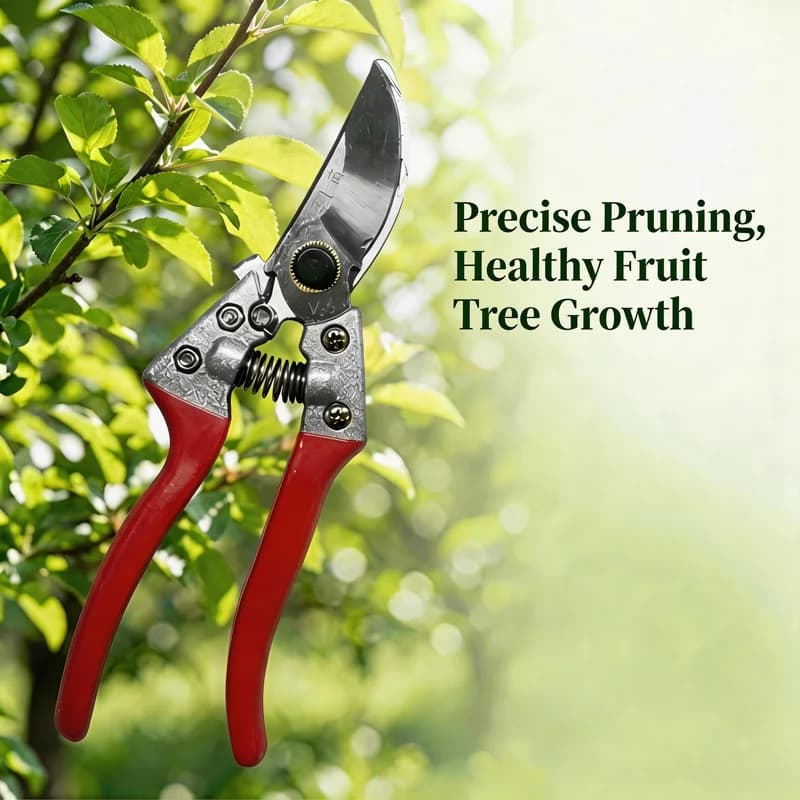 Professional Power Scissors Bypass | Stainless Steel Garden Scissors SK-5 Premium, Precise Power Sharpeners of Fruit Trees and Plants