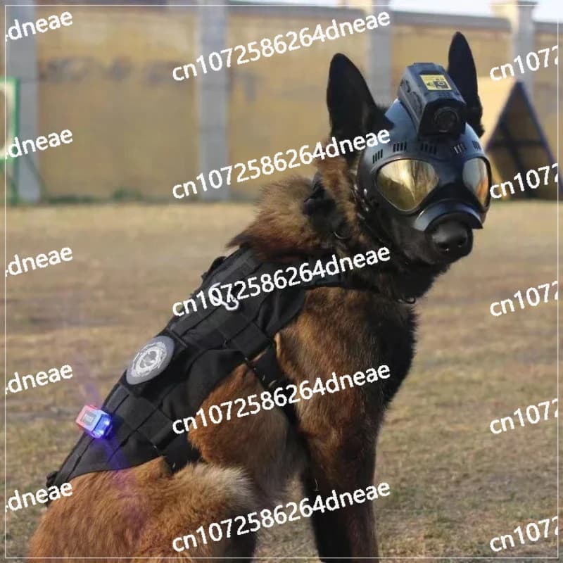 Casco tattico per cani a forma di casco K9 con fotocamera per casco