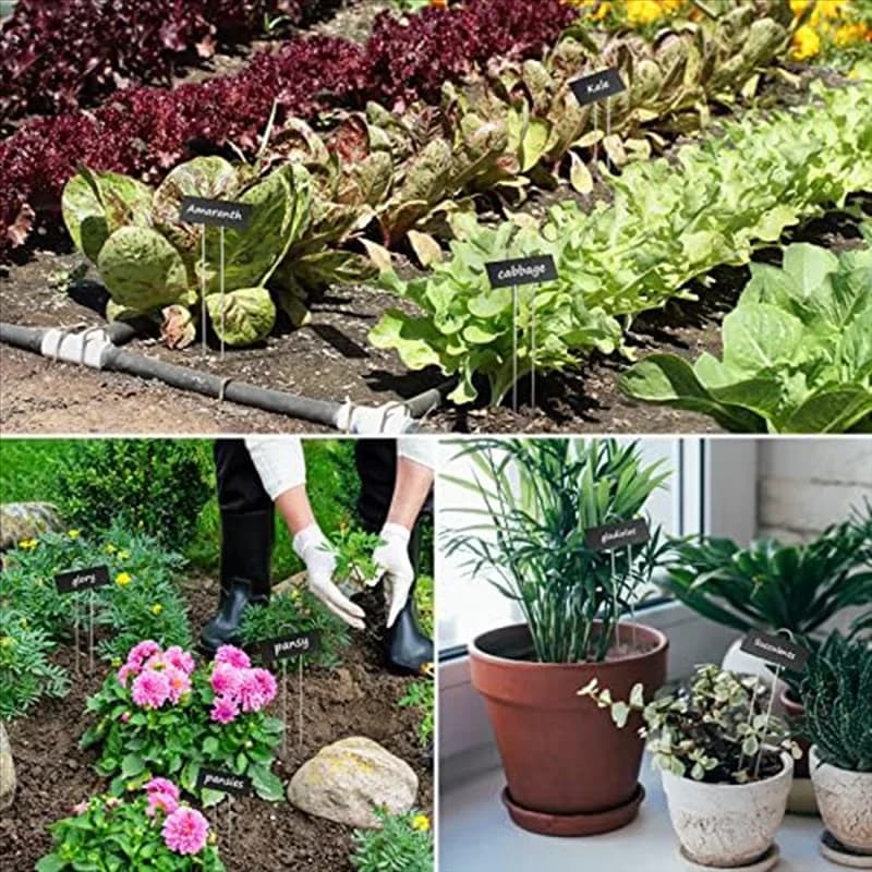 Confezione da 40 pennarelli da giardino resistenti alle intemperie, etichette riutilizzabili per vivaio, per verdure, erbe, semi di fiori, serra