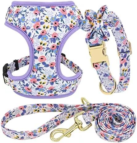 Bellissimo set di collari e pettorine per cani Beirui – Gilet in rete morbida e regolabile per cuccioli Titolo SEO: Trova il Cane Perfetto Beirui Col