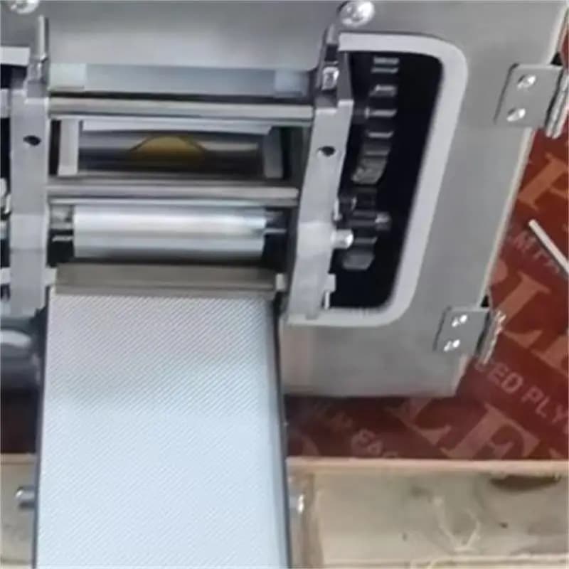 Macchina Elettrica Commerciale 110V 220V per Sfoglie di Pasta, Processore per Pasta, Affettatrice e Pressa per Sfoglie di Wonton, Rotonde e Quadrate