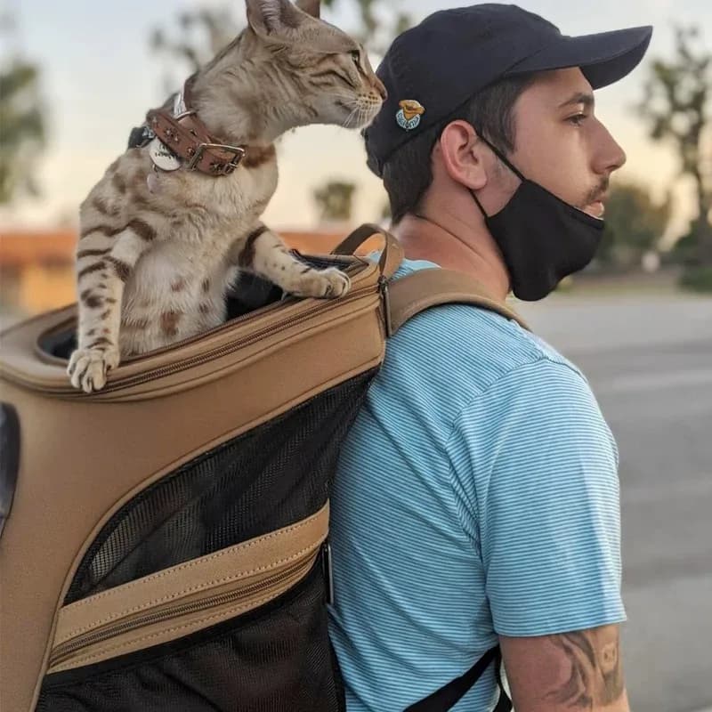 Extra Large Pet Carrier Backpack Breathable Space Capsule for Maine Coon Corgi Shiba Inu Portable Outdoor Travel CatDog Backpack