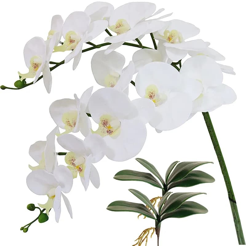 40 pollici Phalaenopsis artificiale fiori Real Touch (non seta) orchidee in lattice fiori per la decorazione di nozze dell'ufficio domestico
