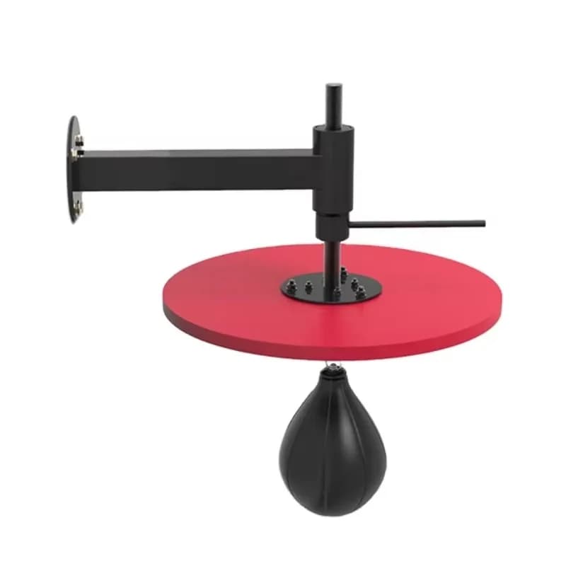 Adjustable Wall Mount Stand Stand for Boxing Bag, Speed Ball Resistant Hook and Boxing Bag