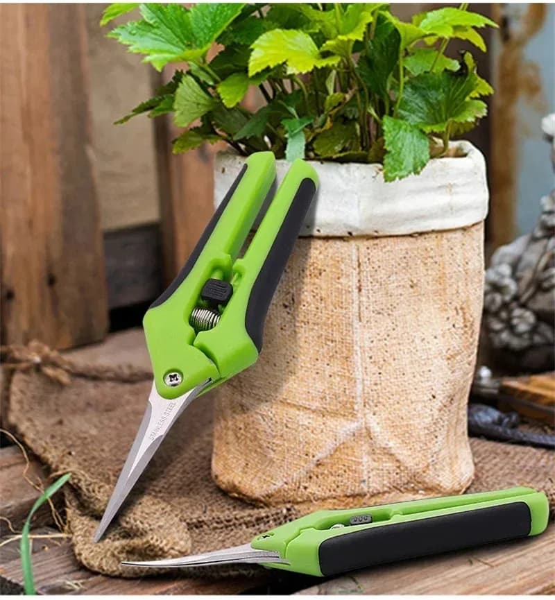 1Pc Stainless Steel Branch Pruning Shears Garden Orchard Plant Flower Fruit Tree Branch Grafting Scissors Straight and Bend Head