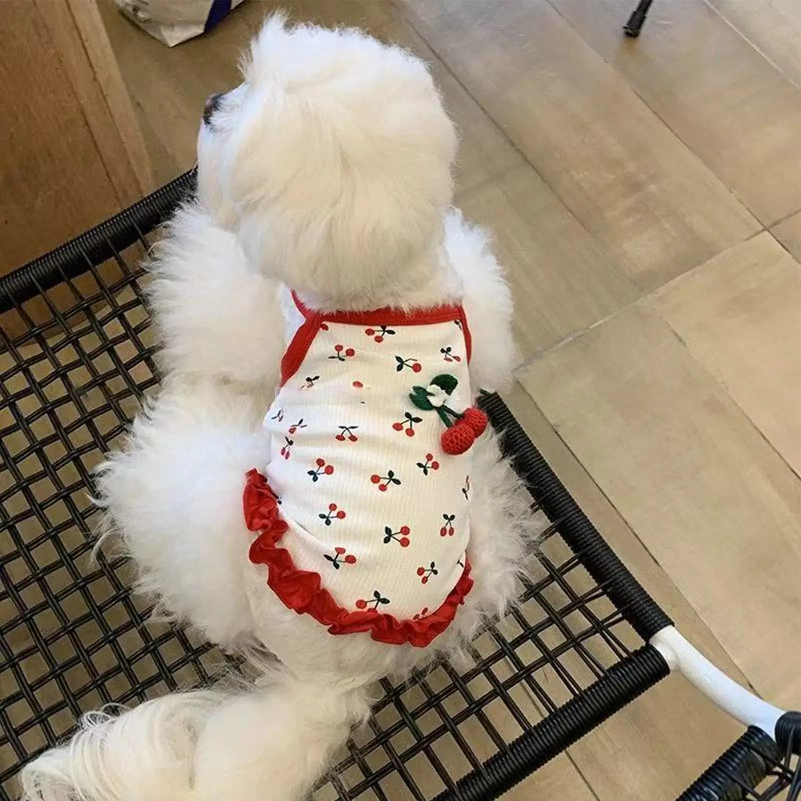 Simpatica pettorina per cuccioli per la primavera estate, elegante gilet morbido e traspirante per cani, abbigliamento traspirante per cuccioli per feste di compleanno