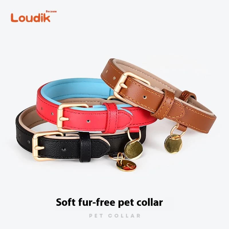 Loudik nuovo collare per cani in pelle collare a scatto in metallo collare Anti-strozzamento per abbigliamento per cani di taglia piccola e media