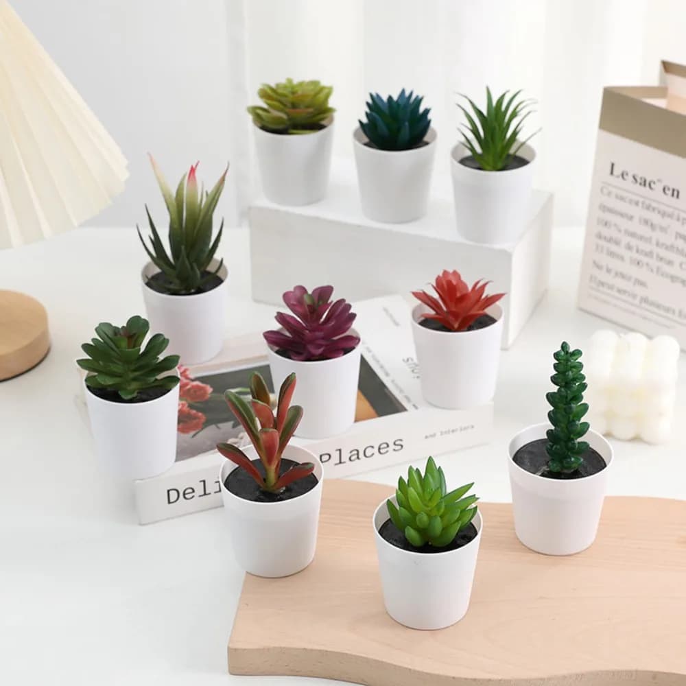 Cactus Succulente Artificiale Succulente Bonsai Piante Finte Piante Bonsai Succulente in Plastica Decorazione da Scrivania Mini Bonsai Ufficio