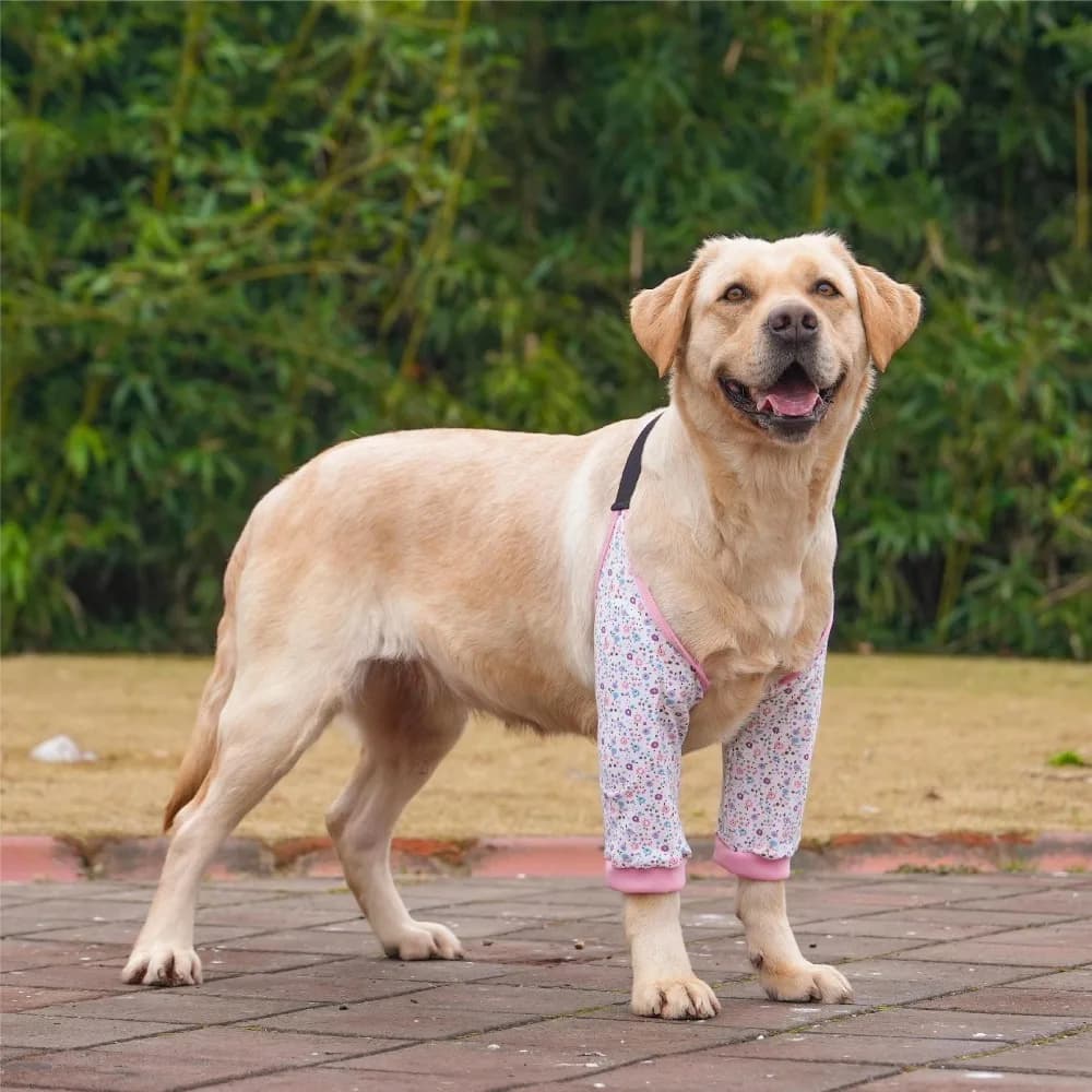 Pratico modello di cartone animato maniche per gomiti per cani in cotone morbido protezione per gomito per cani tutore supporto per spalla ginocchiere per animali domestici per tutore per gomito