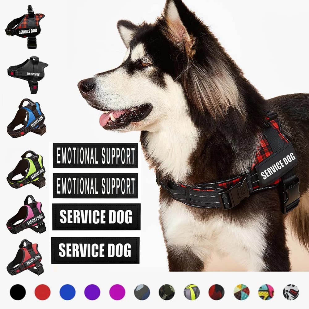 Imbracatura per cani riflettente Gilet ID personalizzato NO PULL Imbracatura per animali regolabile traspirante per cani Forniture per cani da passeggio all'aperto