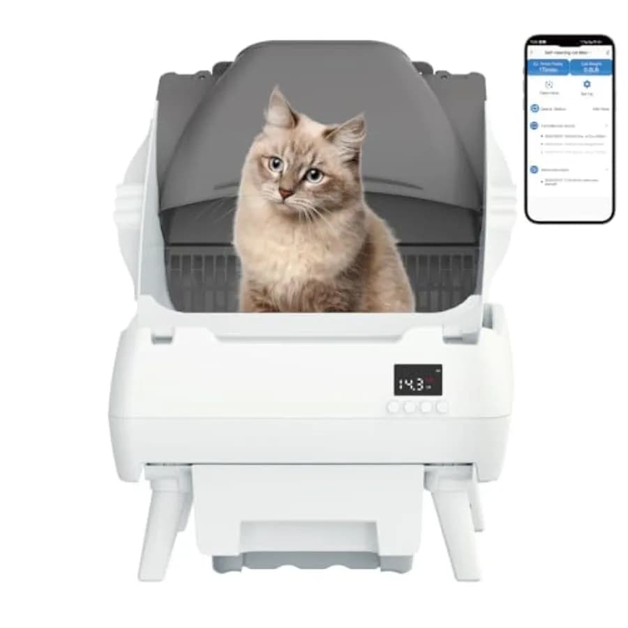 Automatic Cat Litter Box Self Cleaning - App Control, Open-Design, Smart Health Monitor, Suitable for Medium Cats and Kittens,