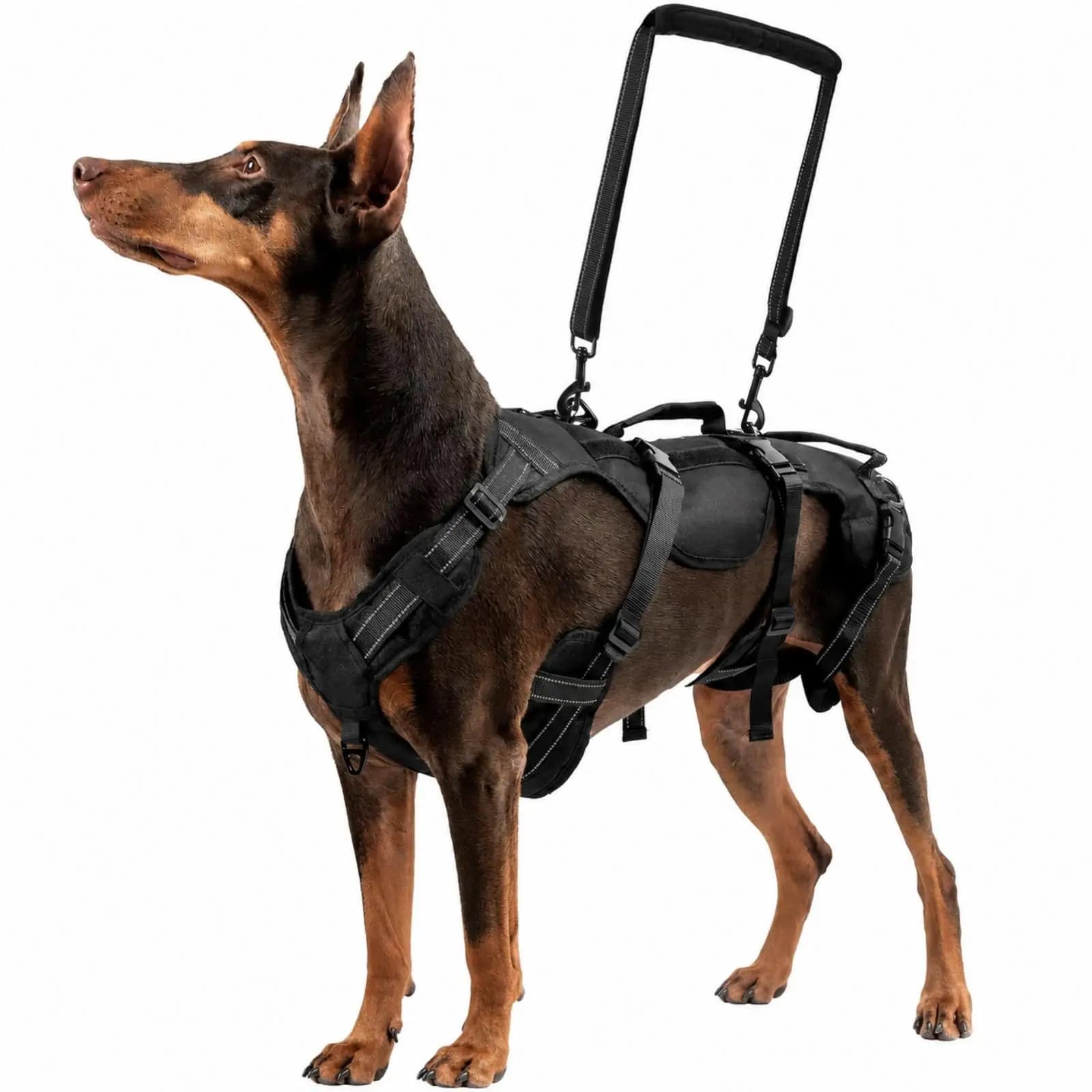 Dog Rehabilitation Lifting Harness Oxford Cloth with Carrying Handles for Large Breed Mobility Support