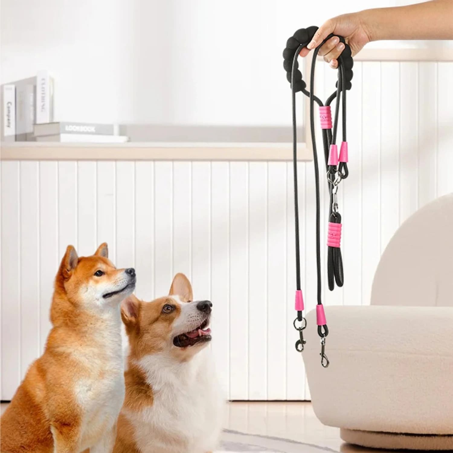 Guinzaglio per Animali Domestici Crossable, Guinzaglio per Cani Colorato Dopamine, Guinzaglio Multiuso Resistente all'Usura con Teste Staccabili