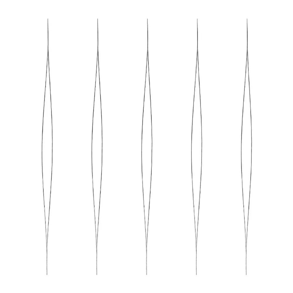5PCS Lightweight Steel Beading Needle Multiple Sizes Storage Tube Big Eye Beading Needles Large Eye Embroidery Beading Needle