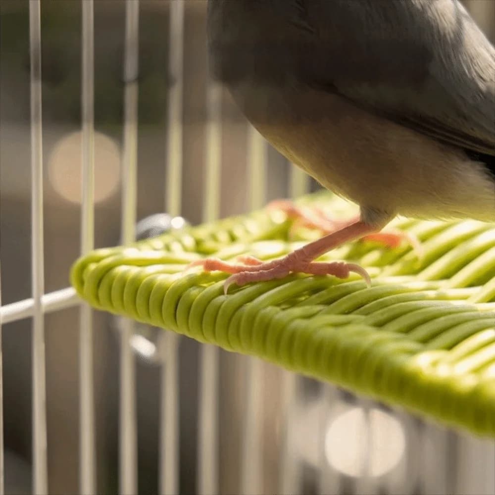 Imitation Rattan Weaving Parrot Perch Rest Bite Resistant Wear Resistant Jumping Platform Breathable Parrot Cage Stand Training