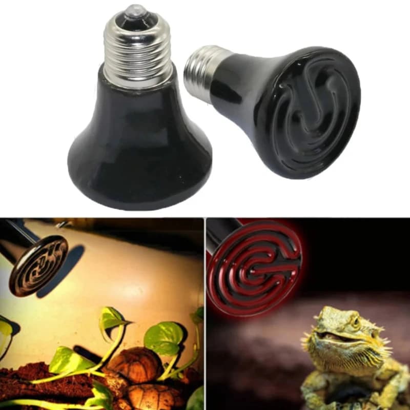 Lampada di calore a infrarossi in ceramica per animali domestici Lampada di riscaldamento per rettili antiscottatura per tartaruga lucertola pappagallo zucchero aliante riscaldatore per allevamento