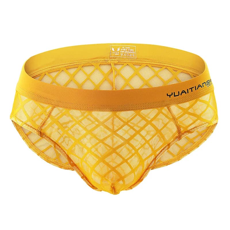 Slip intimi da uomo Slip Pantaloncini in rete trasparente Cueca Intimo da uomo gay Scava fuori Mutandine maschili sexy Slip traspiranti