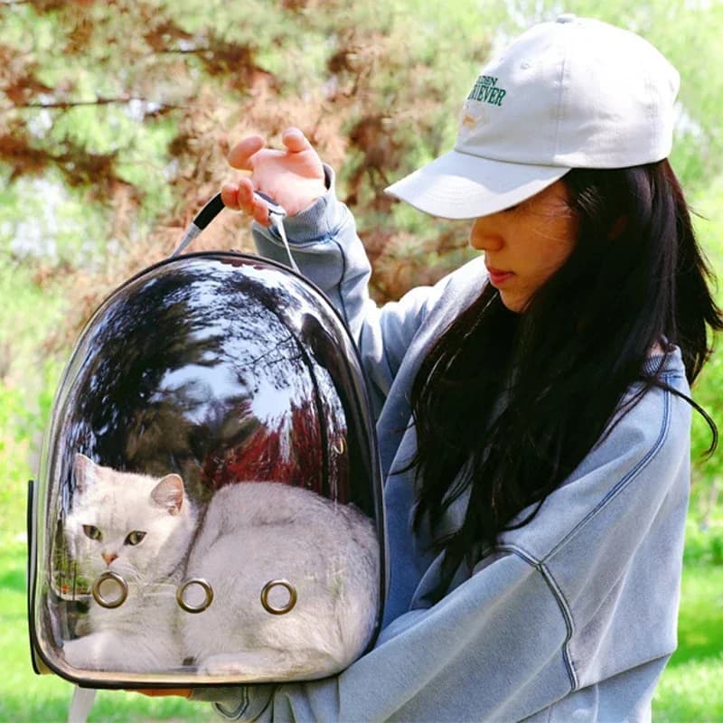 Zaino per animali spaziali per cani e gatti Borsa da trasporto per cuccioli trasparente portatile traspirante Borsa da trasporto per cani con design a capsula