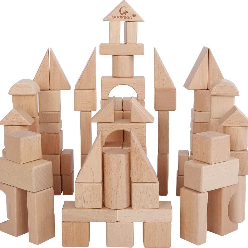 30/60PCS giocattolo in legno tronchi di legno di faggio forma giocattoli educativi precoci cognitivi per bambini building blocks